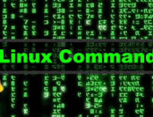 Linux df Command Usage Examples