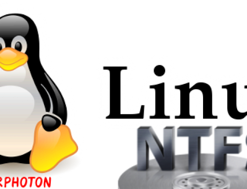 NTFS partition mount in Linux